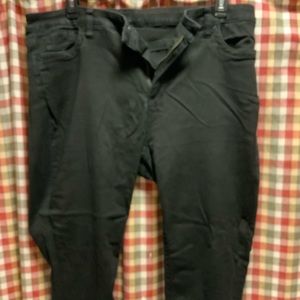 Kut 18W pants